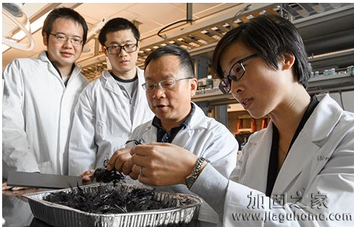 碳纖維加固行業(yè)新發(fā)展，華盛頓大學(xué)實現(xiàn)碳纖維復(fù)合材料的再循環(huán)！