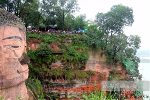 樂山大佛10月開始進行加固，預計明年2月完工