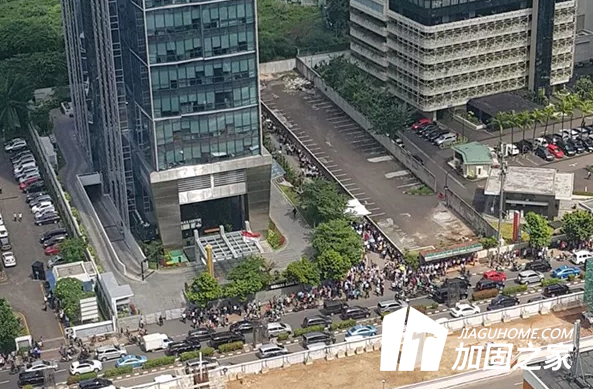 堤圍加固整治工程順利驗(yàn)收