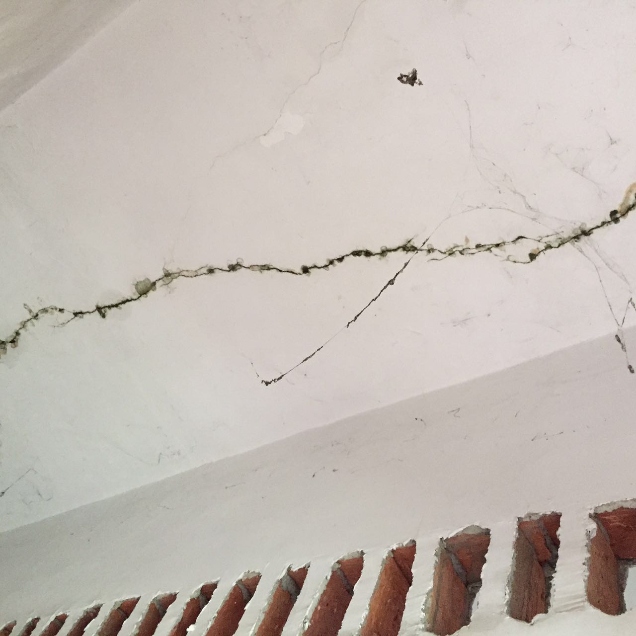 1521015518860333.jpg 119.jpg