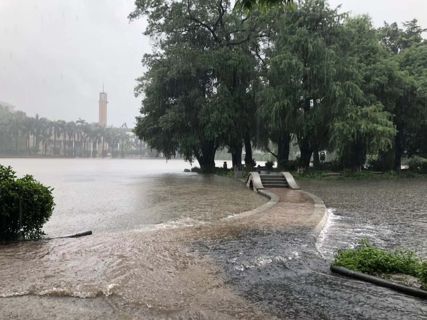 1528515849747479.jpg 177254989615186217.jpg