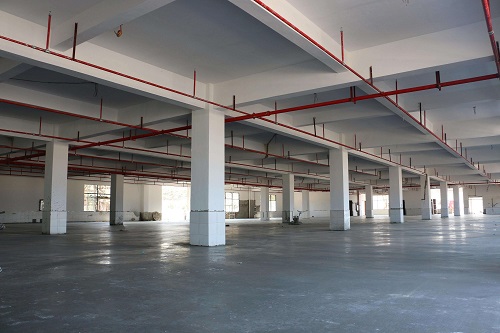 1532920591807076.jpg 2.jpg