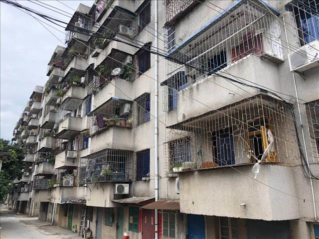 1536226610951739.jpg 91458783036272380.jpg