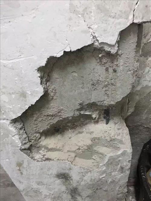 1536565862584801.jpg IMG_5734.JPG