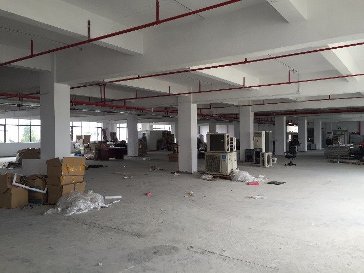 1536750393165473.jpg 1477141048204066.jpg