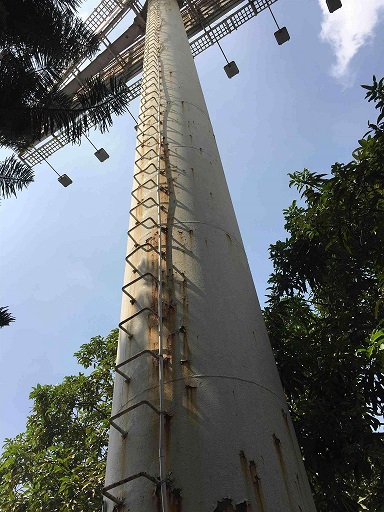 1537576217125361.jpg 138bf824b899a90158308f2e11950a7b0308f5d8.jpg