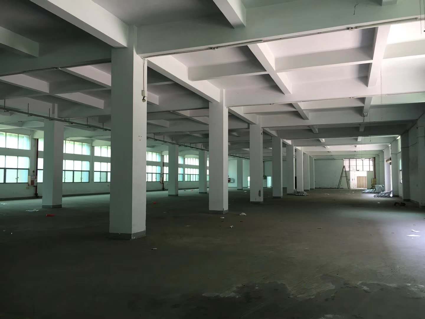 1538274593399696.jpg 341719176009004129.jpg