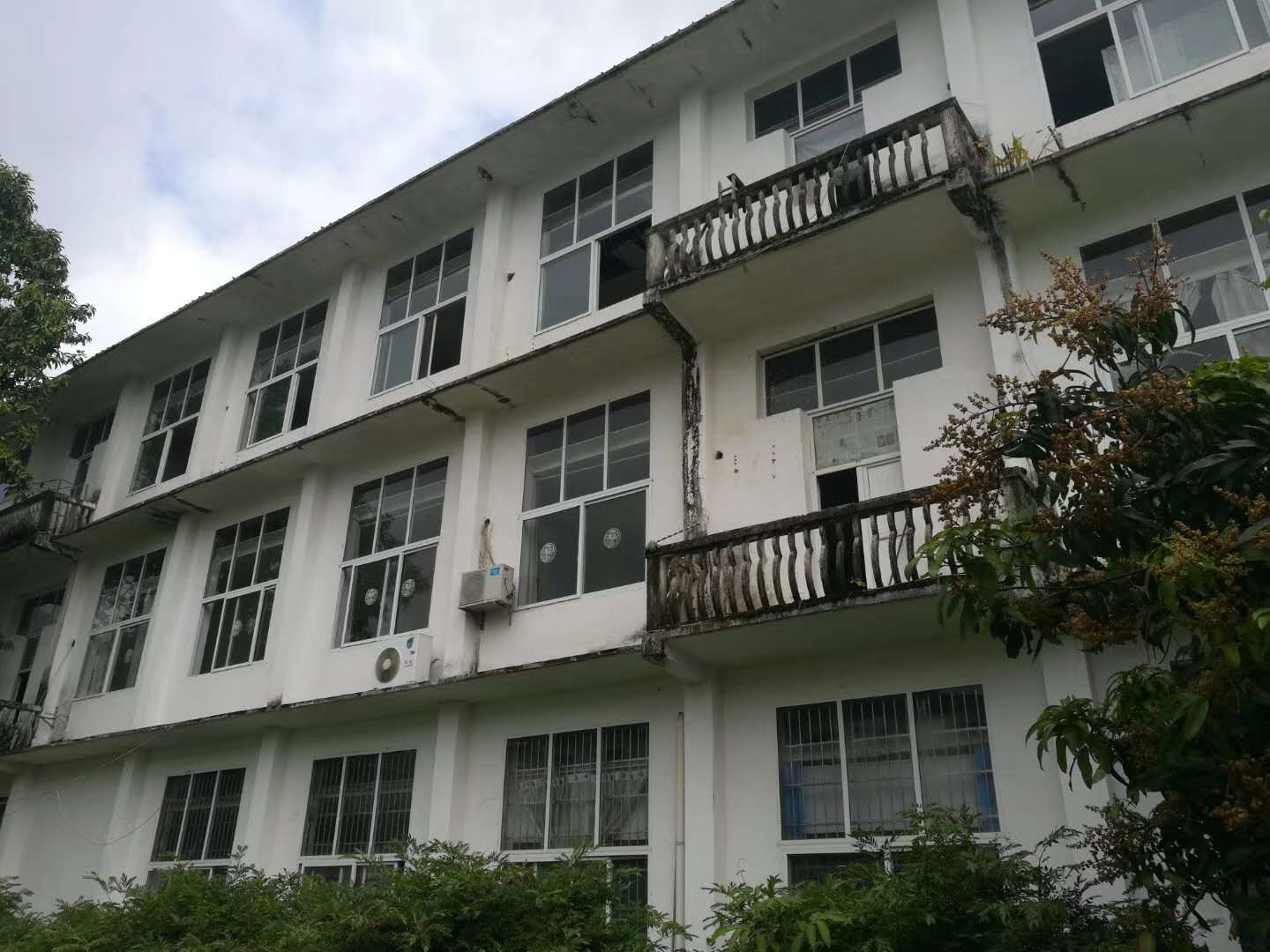 1538279551511698.jpg 736906442290694448.jpg