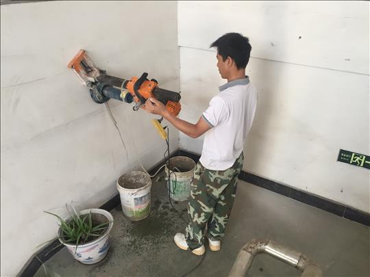 1538883441612842.jpg IMG_8376.JPG