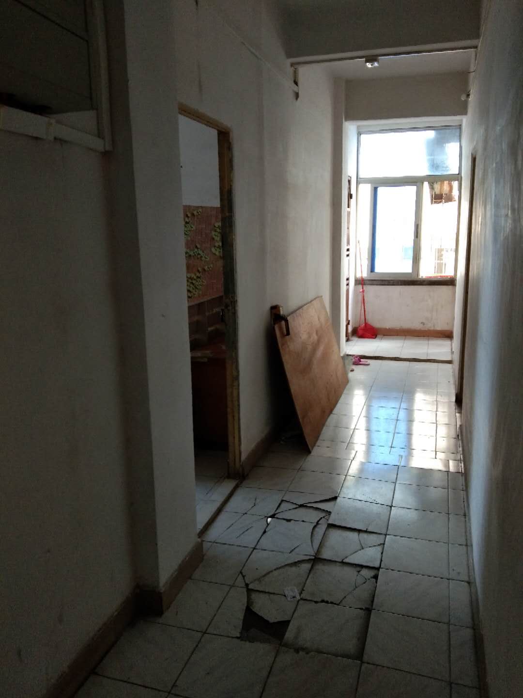 1539043221565489.jpg 654078168928162199.jpg