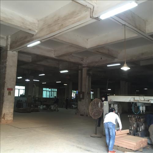 1539182862315021.jpg IMG_5955.JPG