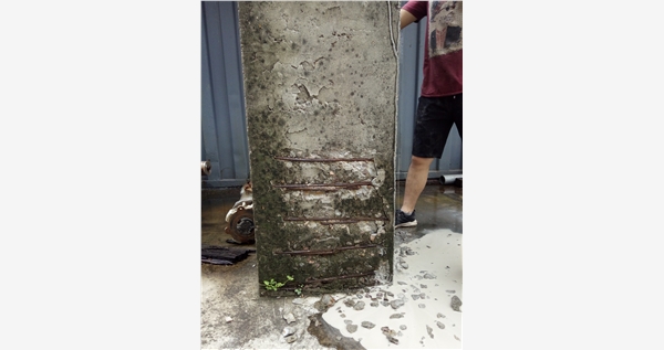 1539301725711772.jpg IMG_20180823_065601.jpg