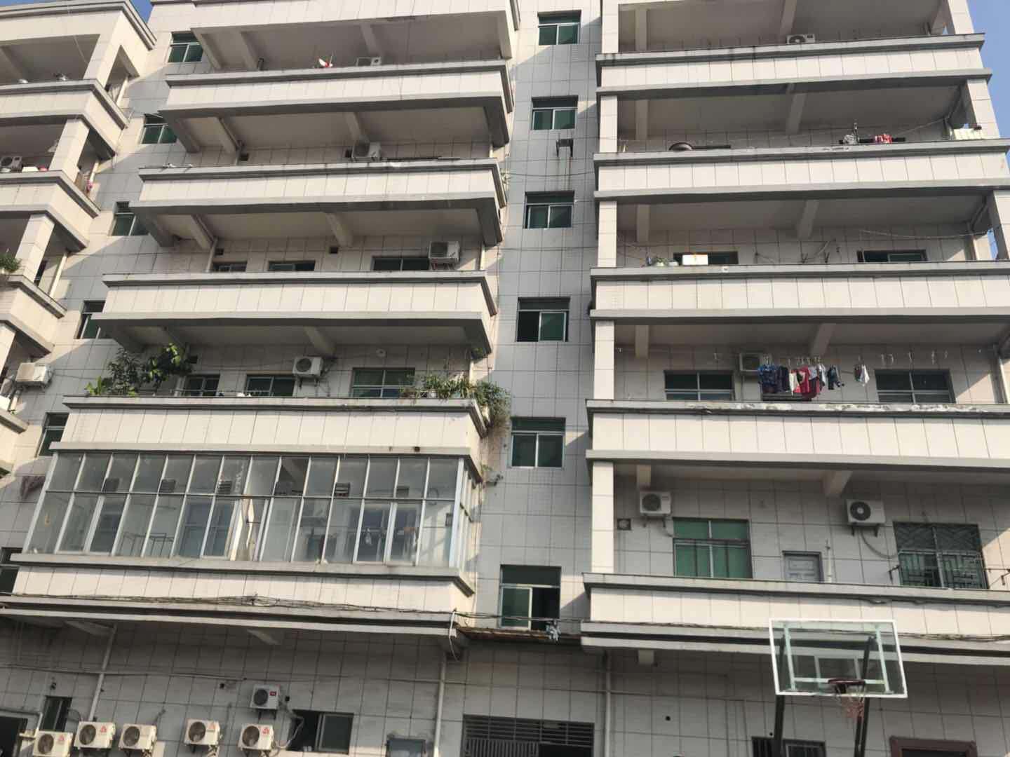 1539909731153523.jpg 604540525432519733.jpg