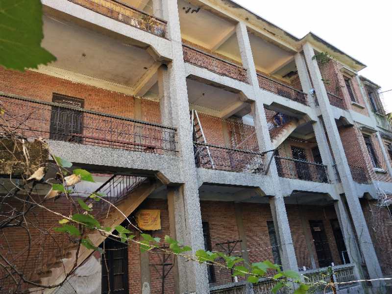 1540039039124116.jpg 310493358392522713.jpg