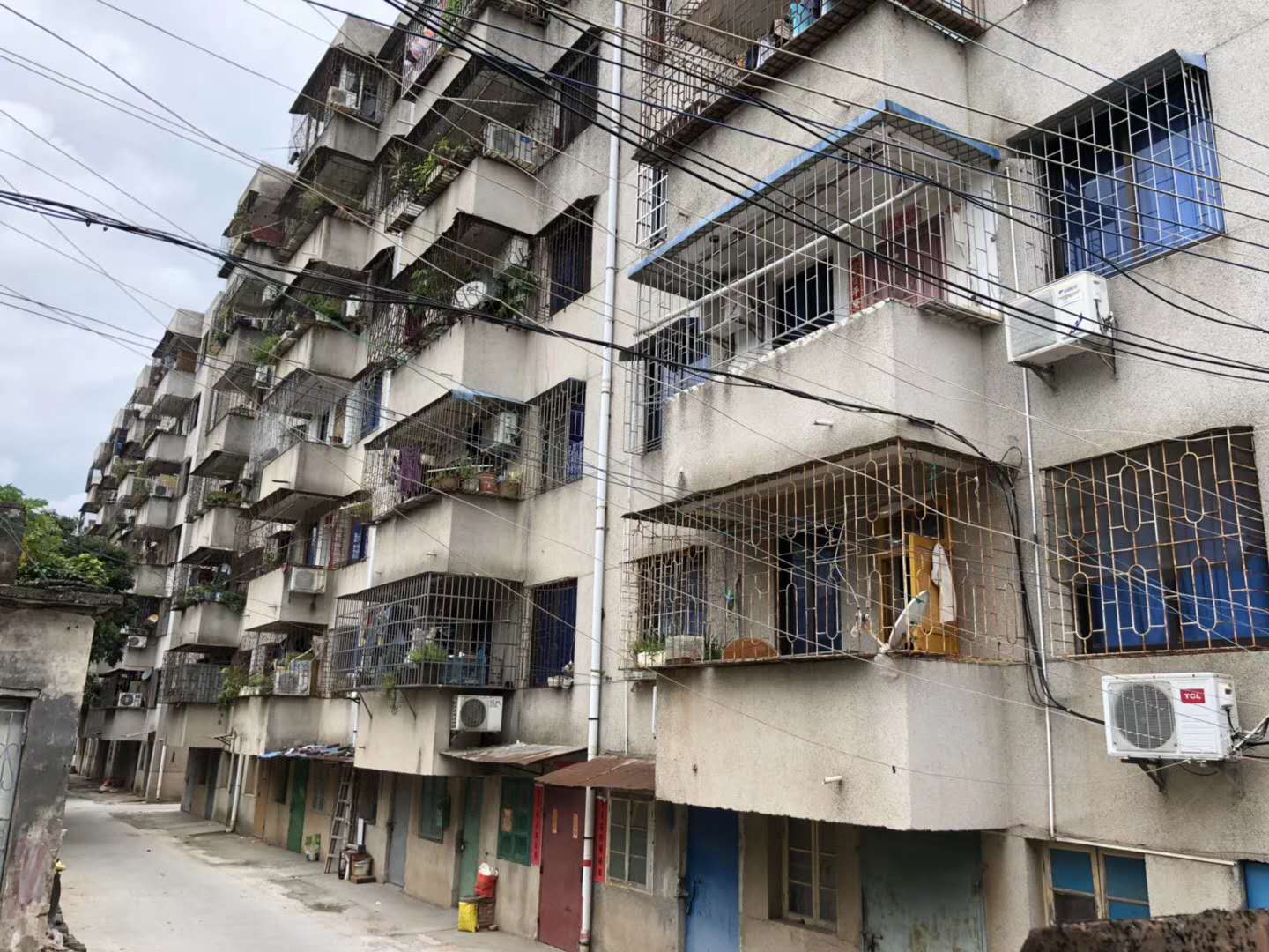 1540046964640577.jpg 783468308569342171.jpg