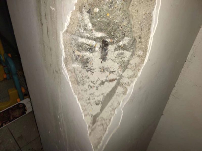 1540197502973032.jpg 813241019050322631.jpg