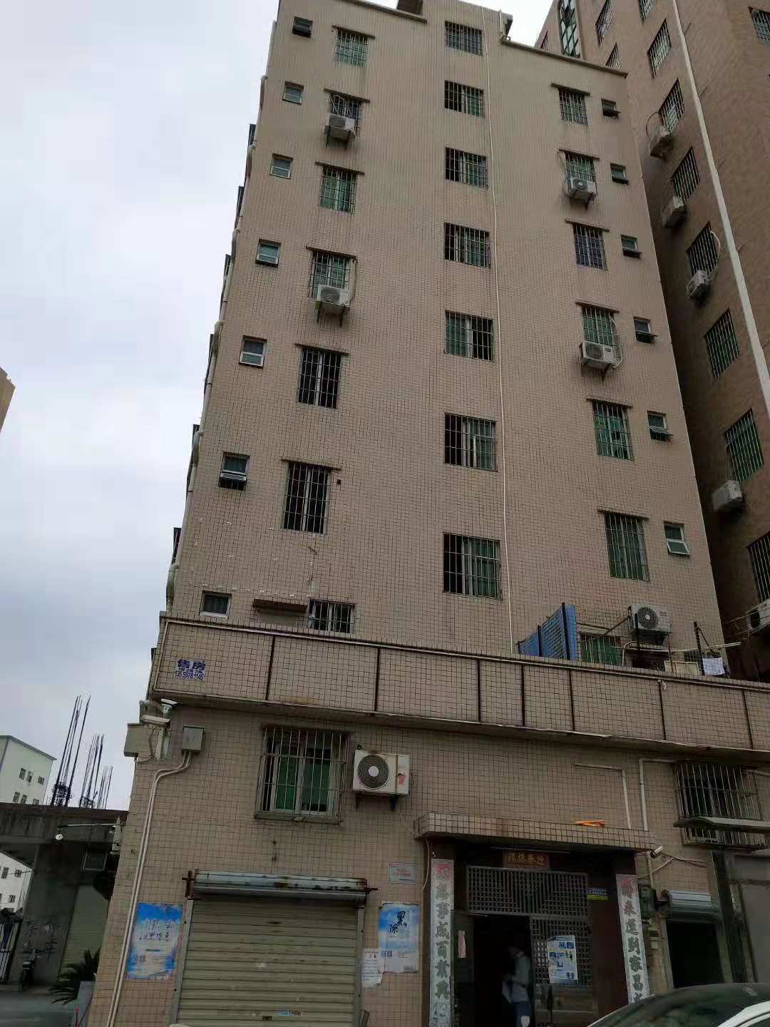 1540274313128961.jpg 153737426345400259.jpg