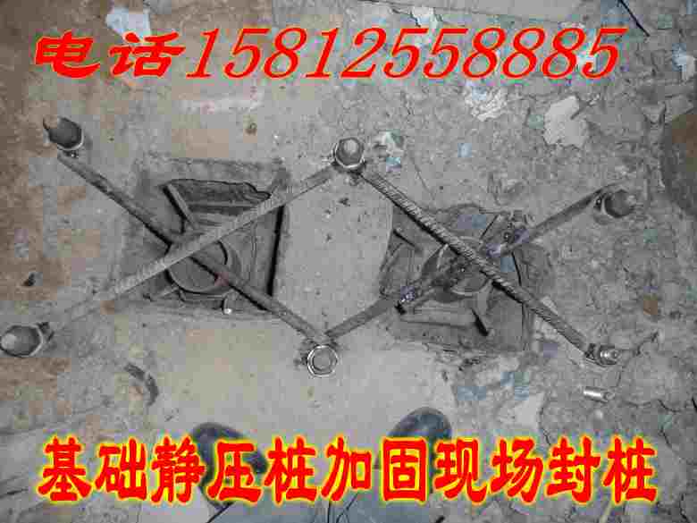 1540379208898925.jpg SAM_3577_conew1.jpg