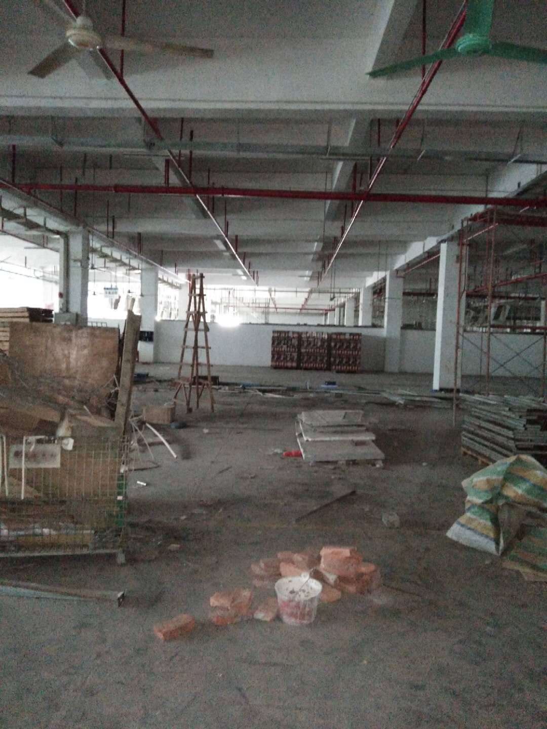 1541502486950236.jpg 264788794943098048.jpg