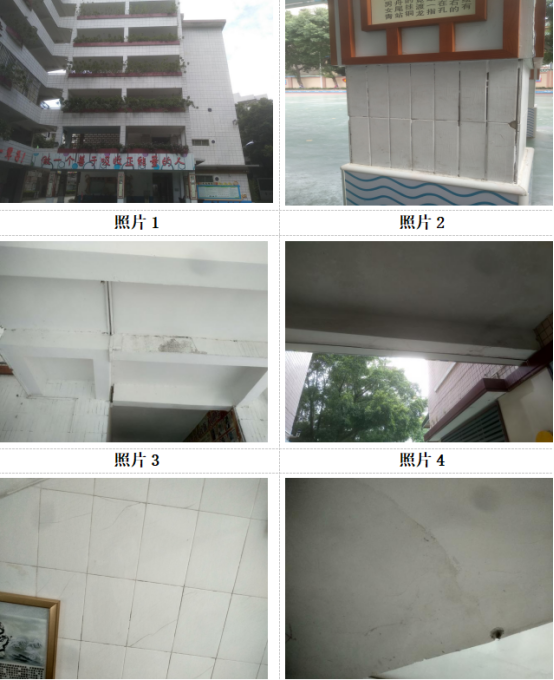 1561607770216954.jpg 5cff1cc29771b.jpg