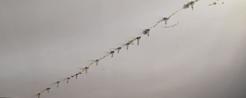 樓板漏水可怎么辦？