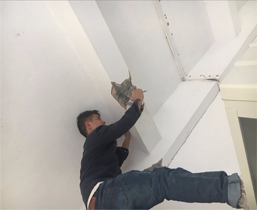 1605059338633040.jpg 152887521167779.jpg