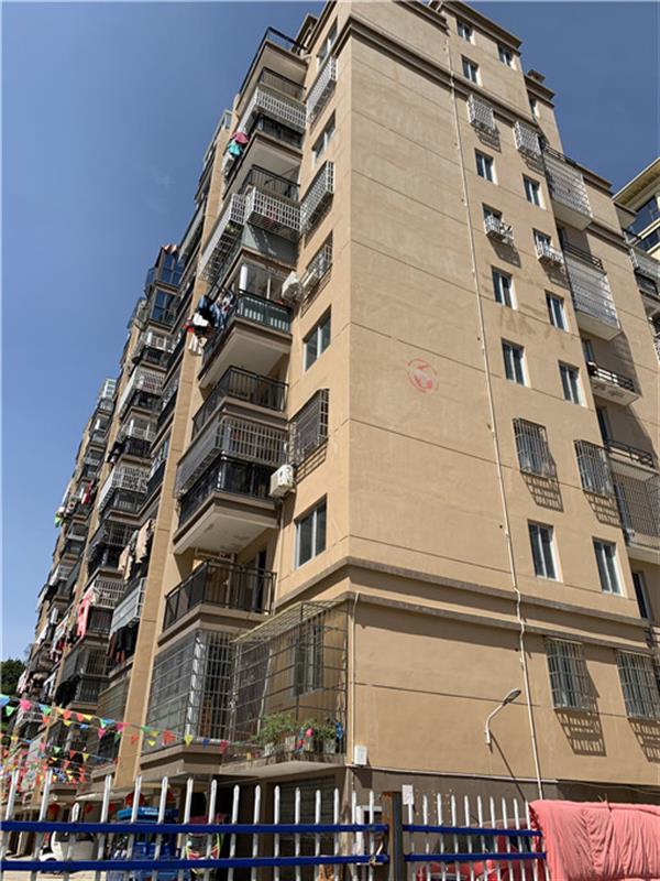 1608534772376681.jpg 636946410733406183.jpg