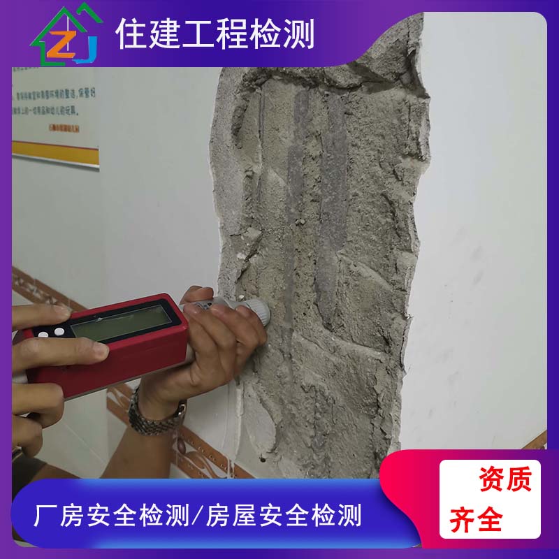 1611193886677658.jpg 17.jpg