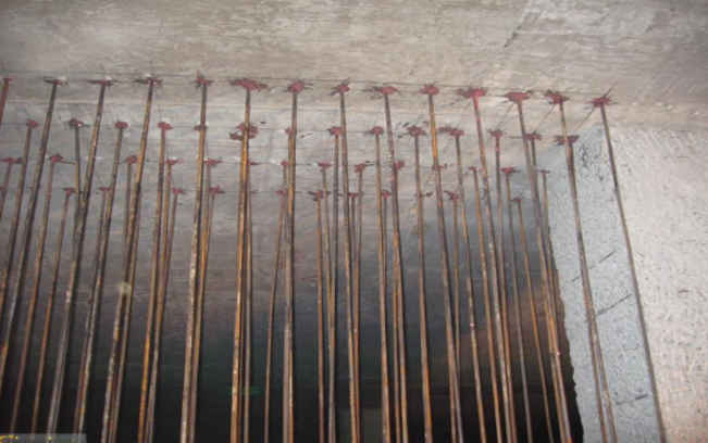 1611555496316544.jpg 5.jpg