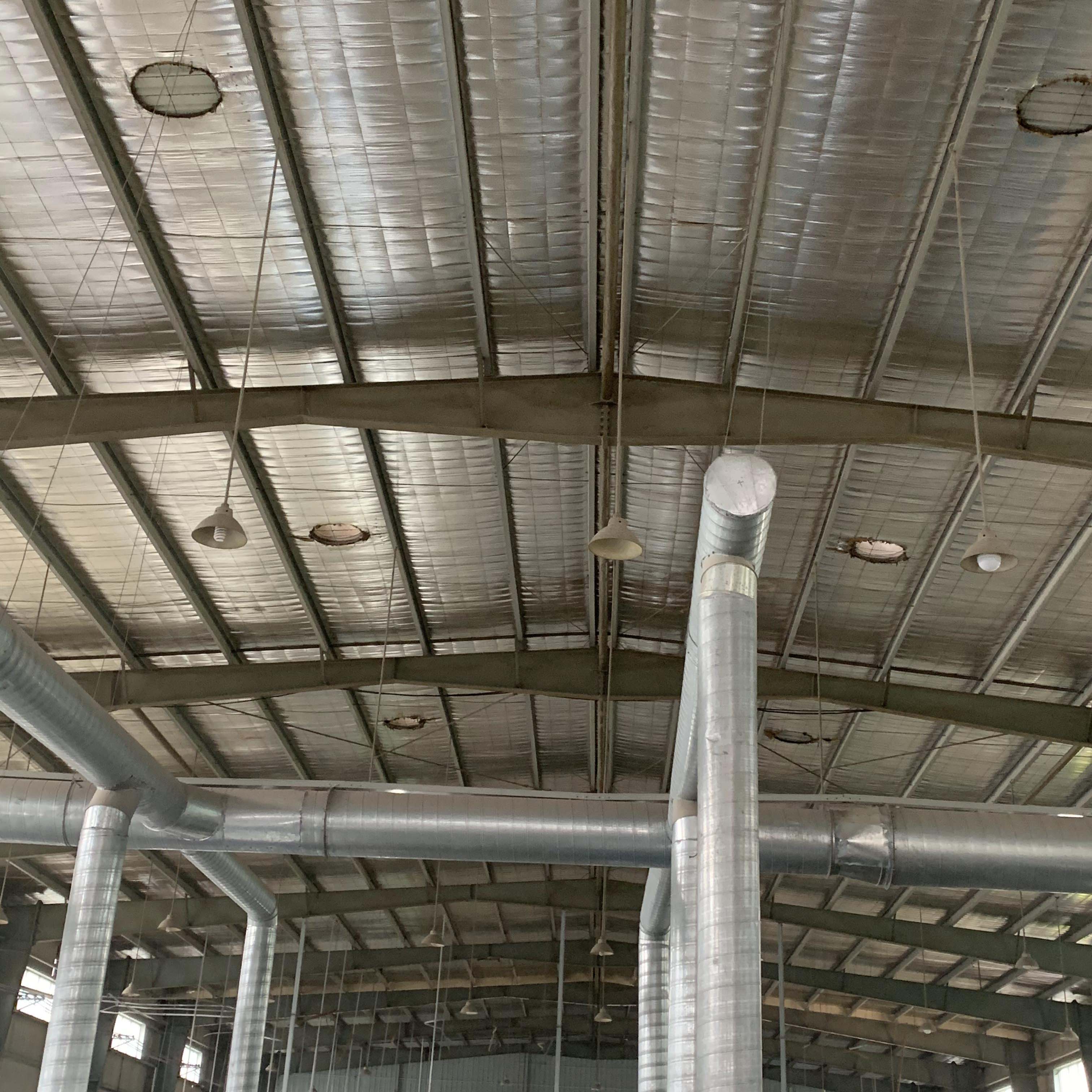 1614997252935385.jpg 10.jpg