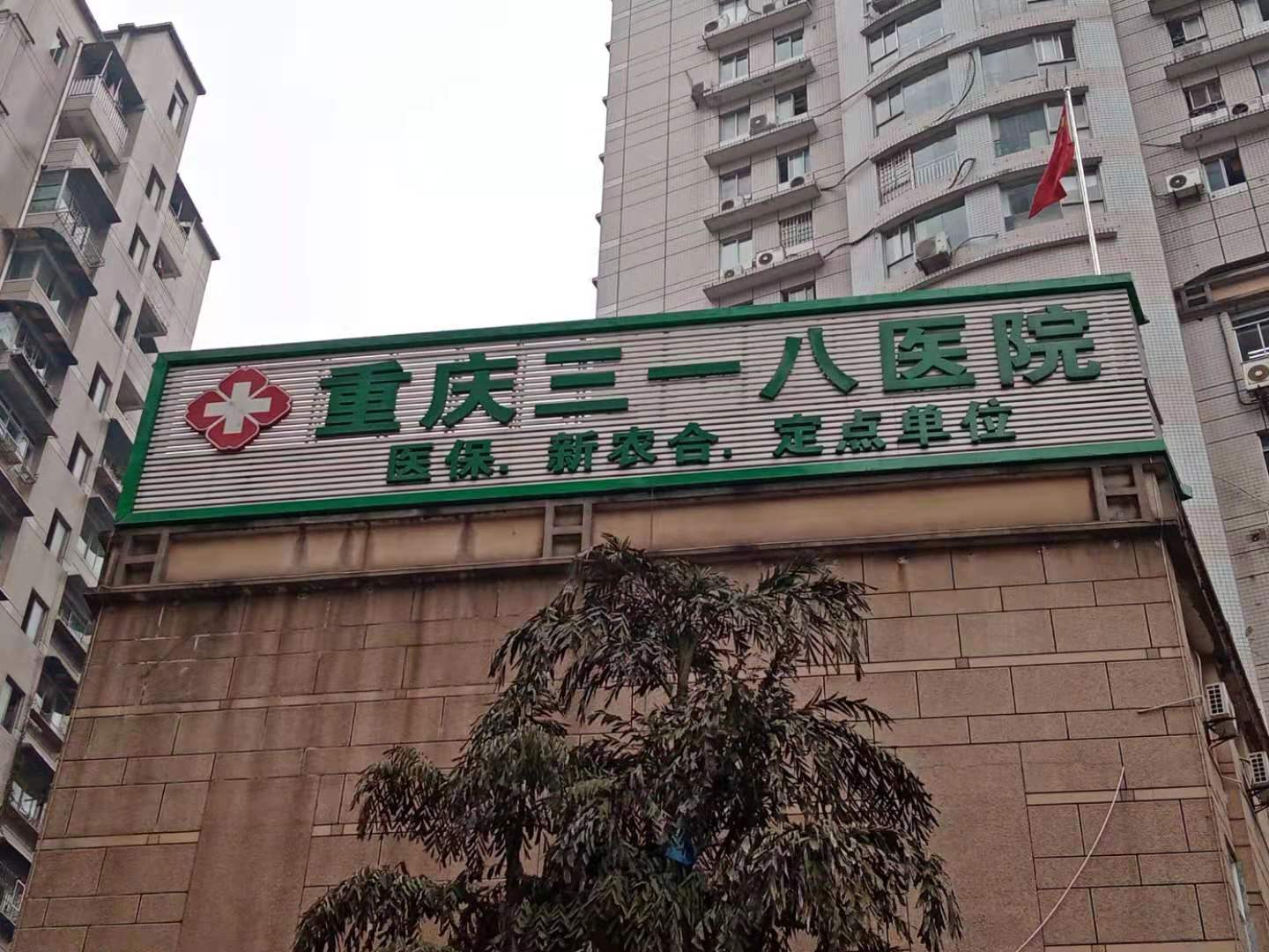 1618217286935633.jpg e1283e2cb9d6d9d8f88264f5a354da8.jpg