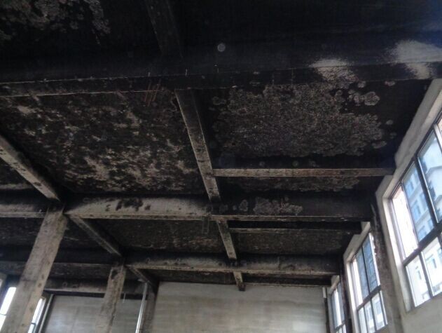 1631064169356902.jpg wKhQxFd0vBqEZe1rAAAAAEvagWI695.jpg