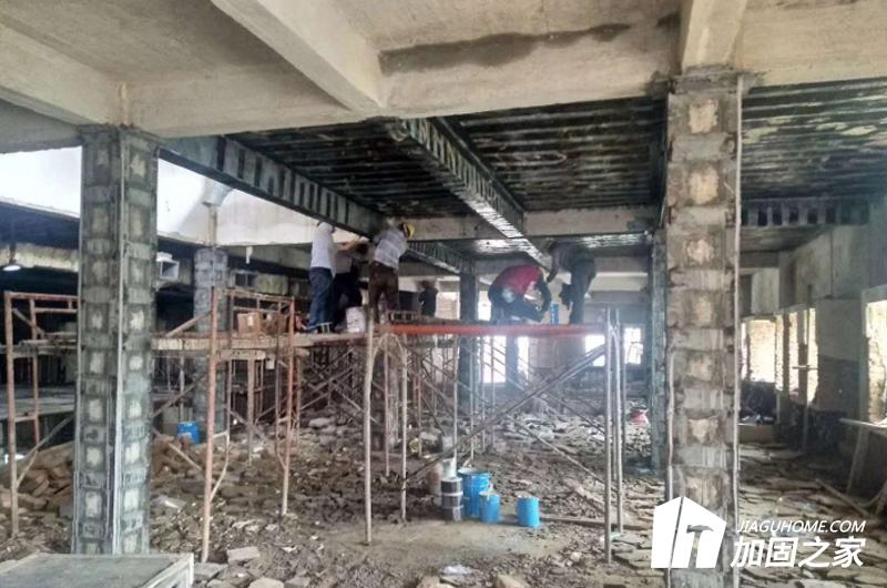 如何對(duì)癥處理才能根治廠房病害?