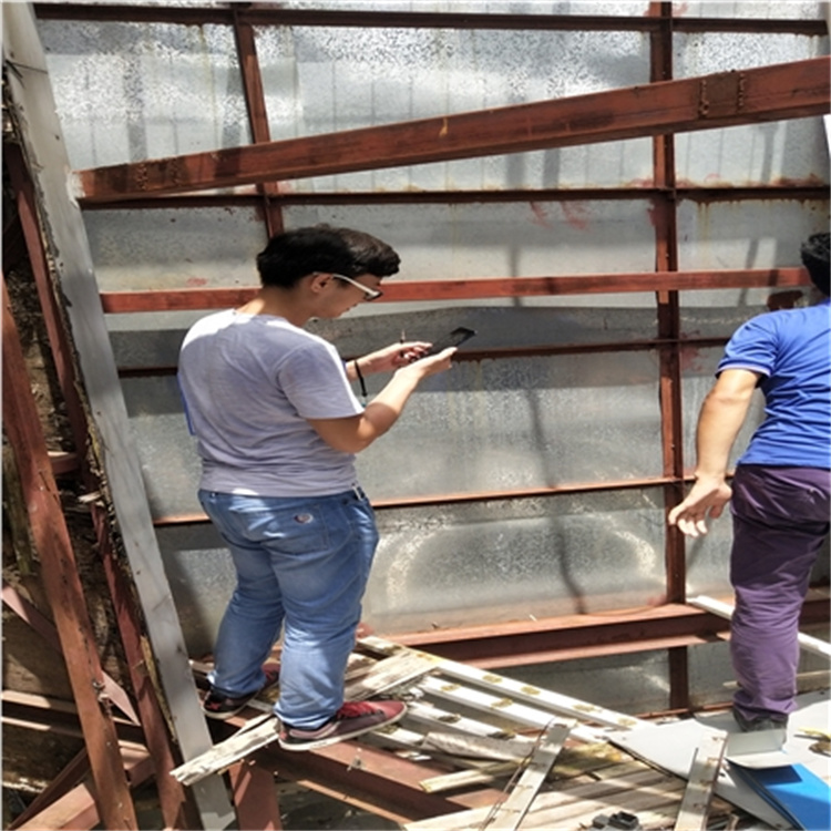 1699434733765562.jpg IMG_20190712_133940.jpg