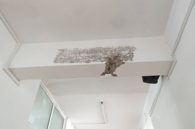 建筑沒有結(jié)構(gòu)圖紙如何進(jìn)行房屋檢測鑒定?