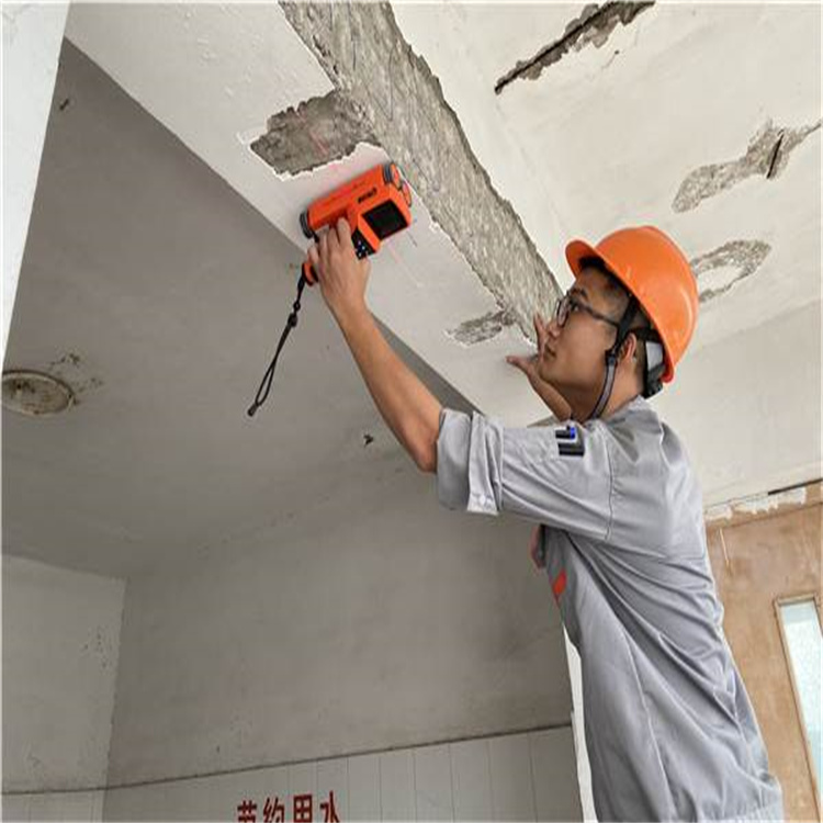 1720685529687402.jpg 2367cf49a41f4b2eac2d05ba9a29e08a.jpg