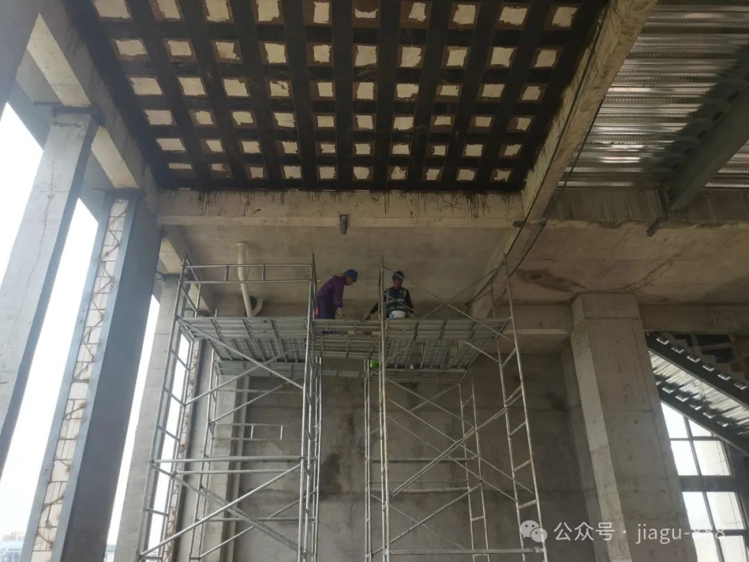 1748503160688028.jpg 640 (2).jpg