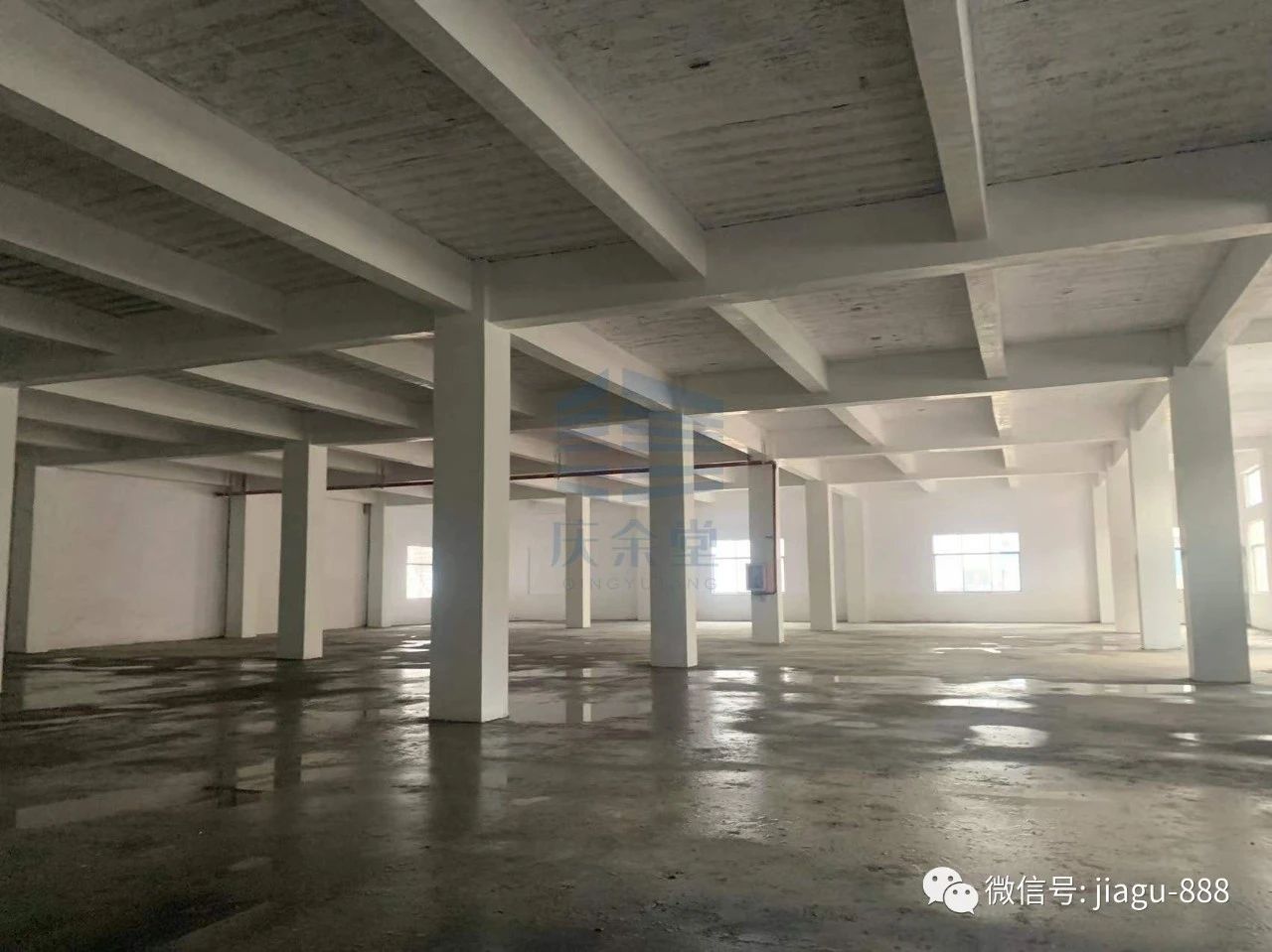 1750129230302604.jpg 3444444.jpg