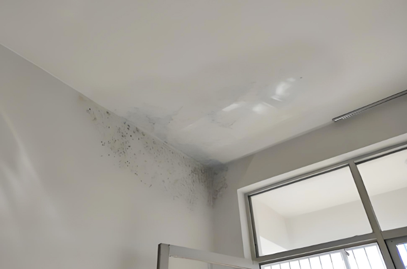 房屋漏水怎么修補最好