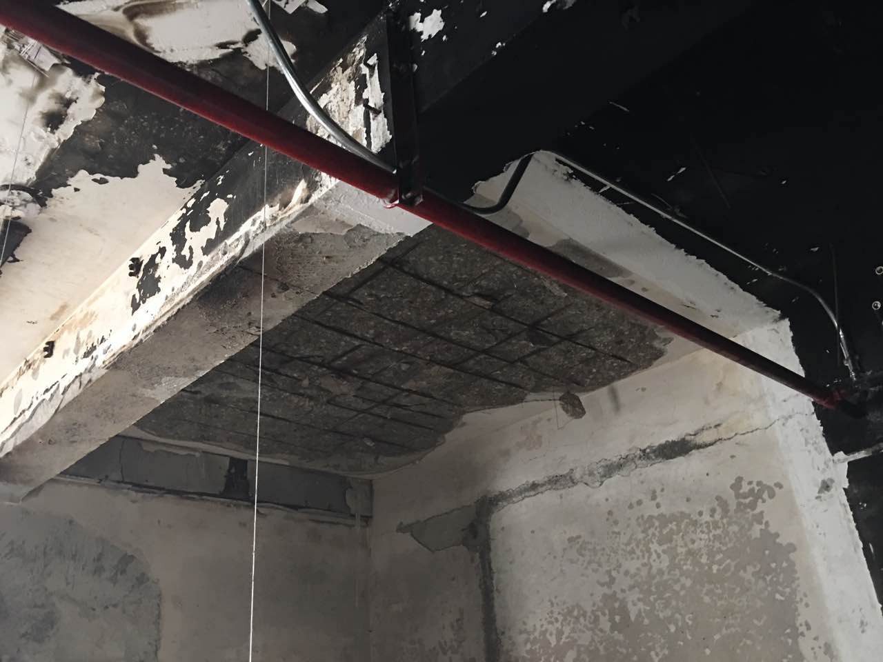 1522555161554052.jpg 598837608ef33.jpg